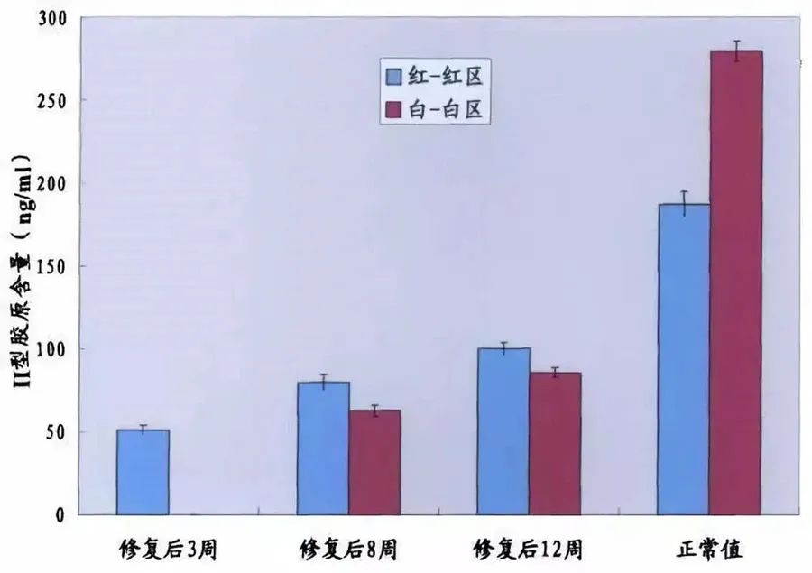 115.jpg
