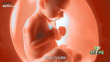 41.gif