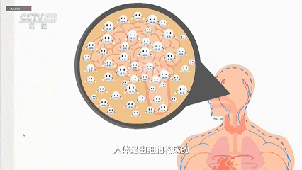43.gif