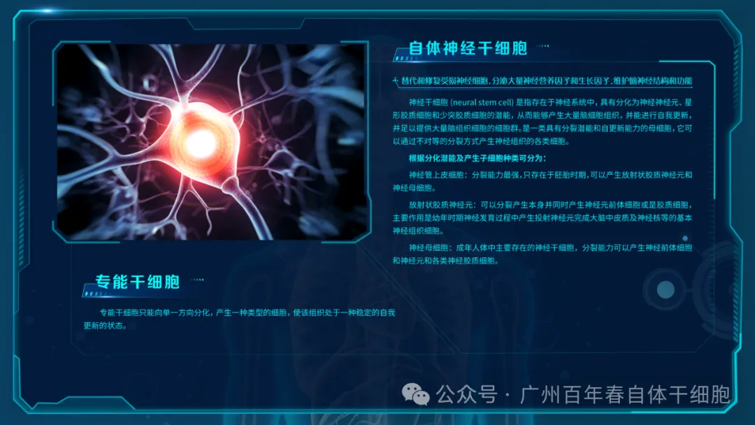 640 (3).webp