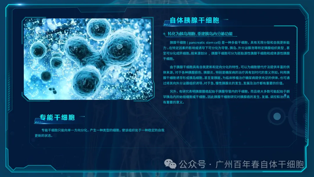 640 (4).webp