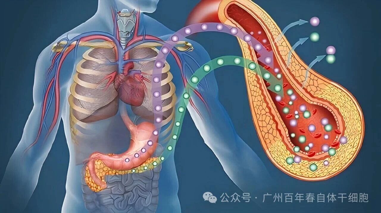 微信图片_2026-03-06_171608_129.jpg